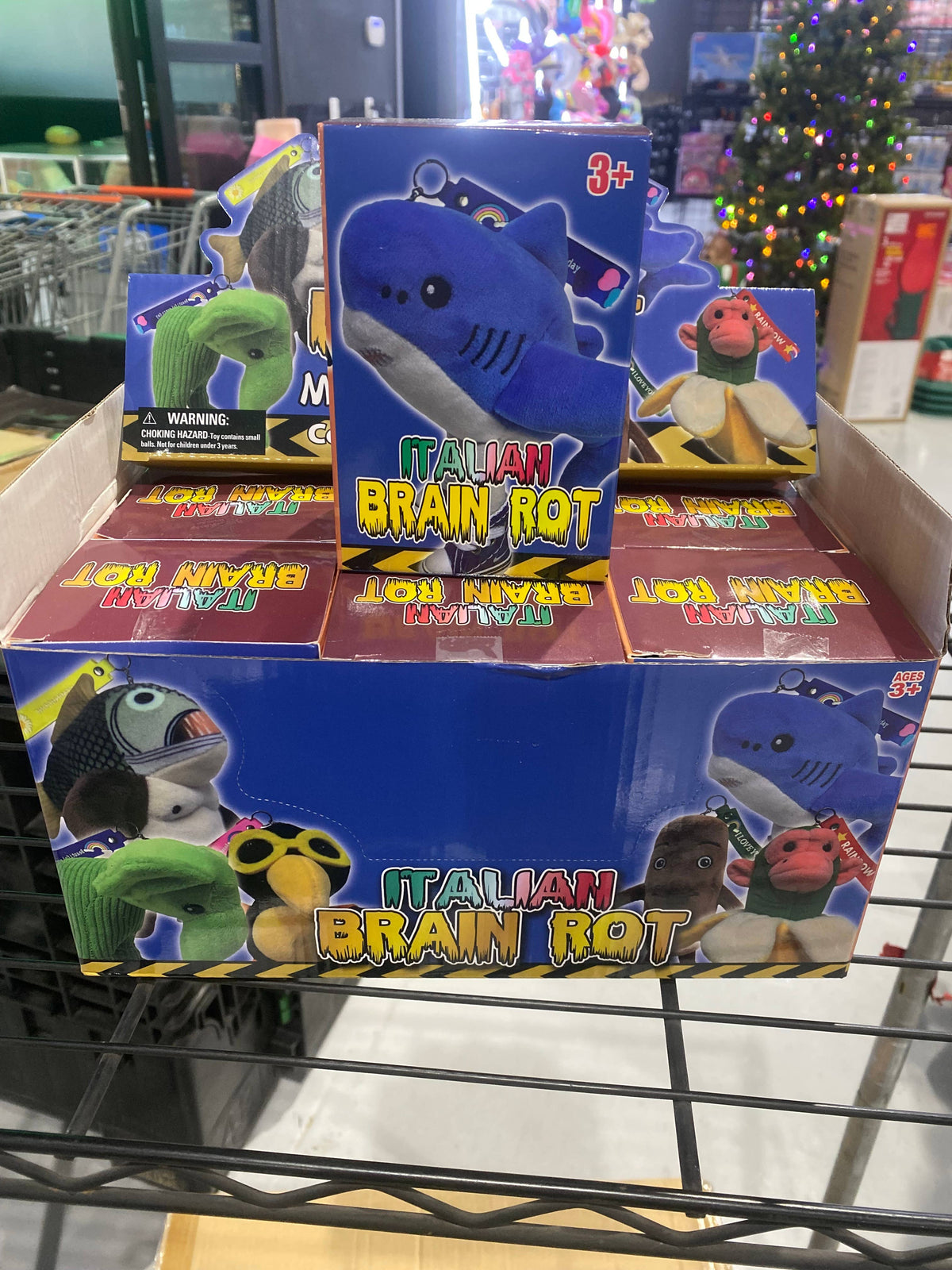 Italian Brain Rot Blind Box – Mystery Meme Collectible Toy– Lake Conroe ...